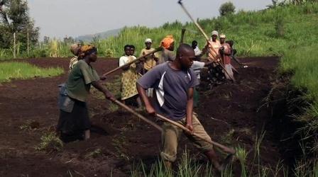 Video thumbnail: PBS NewsHour Business Fund Puts African Farmers on Road to Market