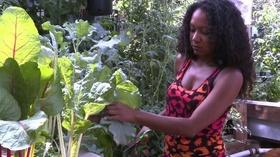 Video thumbnail: PBS NewsHour Urban Gardens Create Healthy Food Options