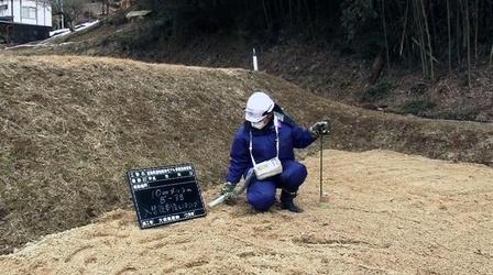 Video thumbnail: PBS NewsHour In Japan, Nuclear Clean-up May Be Mission: Impossible