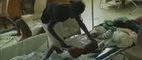 In Haiti, a Mission of Religion and Medicine for Father Rick