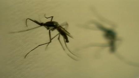 Video thumbnail: PBS NewsHour Vaccine Could Become 'Another Very Powerful Weapon' to...