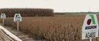 Supreme Court on Monsanto Tests Limitations of Patent Law