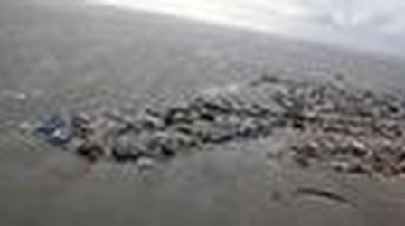 Video thumbnail: PBS NewsHour Sandy Aftermath Affects Millions in New York and New Jersey