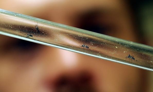Texas Employs Aerial Spraying to Combat West Nile Virus