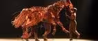 Conversation: 'War Horse'