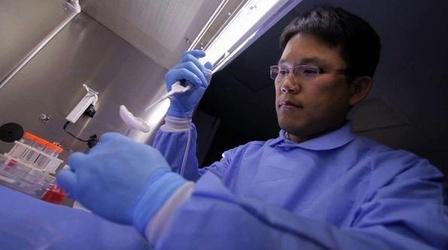 Video thumbnail: PBS NewsHour Spare Parts for Humans: Tissue Engineers Aim for...