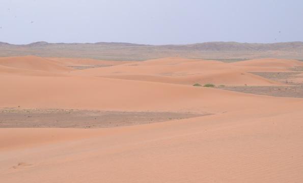 Conversation: Perceptions of Climate Change in Mongolia