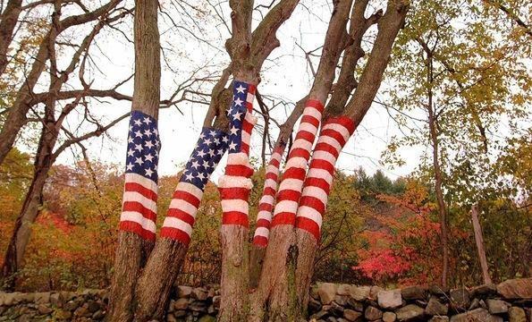 N.Y. Photographer Captures 9/11 Tributes in Unexpected...