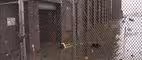Industrial Residue From Sandy Flood Waters Raise Concerns