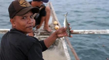 Video thumbnail: PBS NewsHour Turning the Population Tide in the Philippines