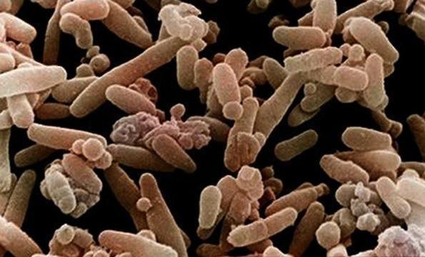 A New Genetic Map That Could Make Your Skin Crawl