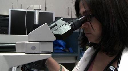 Video thumbnail: PBS NewsHour Cancer Treatment: Are Personalized Molecular Profiles in...