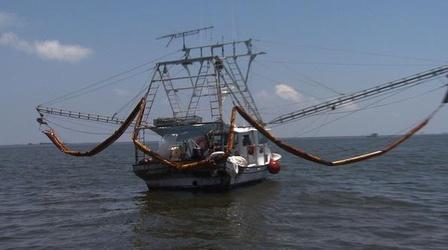 Video thumbnail: PBS NewsHour Louisianans Still Struggling One Year After the Gulf Oil...