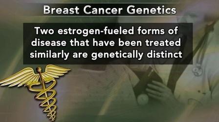 Video thumbnail: PBS NewsHour Genetic Analysis of Breast Cancer Could Change Treatment
