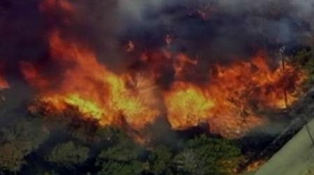 Video thumbnail: PBS NewsHour Worst Drought in Texas History Ravages Crops, Livestock