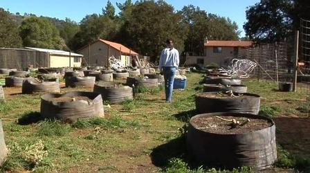 Video thumbnail: PBS NewsHour California Raids Threaten Medical Marijuana Regulation