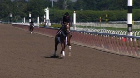 Video thumbnail: PBS NewsHour Hopes for a Triple Crown Once Again a Scratch