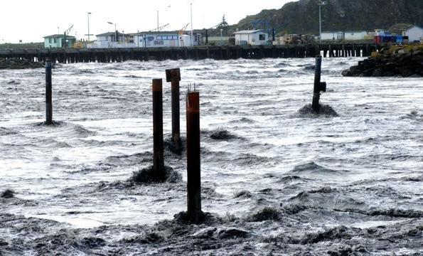 Along U.S. West Coast, Tsunami Warnings Heeded Amid Some...