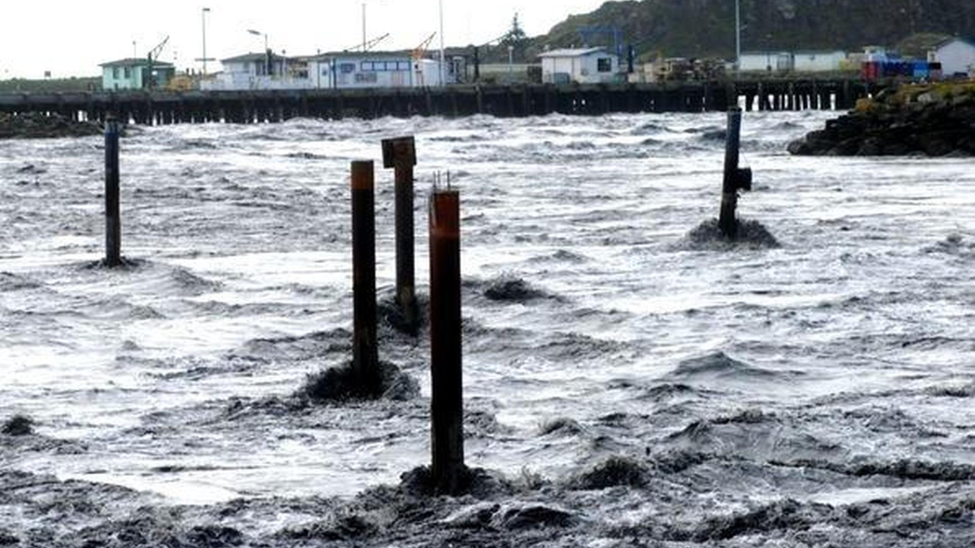 West coast tsunami warning live