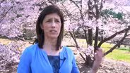 Cloning Trees at the Tidal Basin