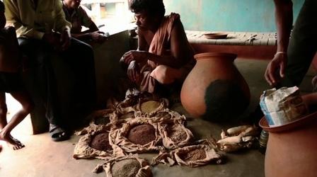 Video thumbnail: PBS NewsHour Struggling Farmers in India Find Promise in Ancient Seeds