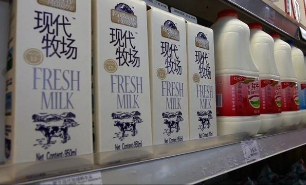 Could a Surplus of California Milk Fulfill China's Needs?