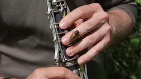 Video thumbnail: PBS NewsHour David Rothenberg Jams with the Cicadas