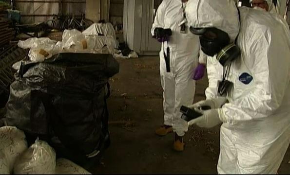 Radiation Still Poses Danger Around the Ruins of Fukushima 