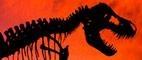 T. Rex