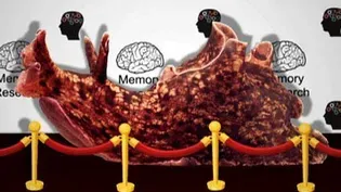 Video Short: A Memorable Snail