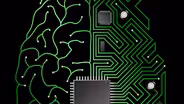 How Does the Brain Work? Preview