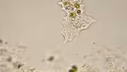 Revealing the Origins of Life