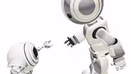 Social Robots