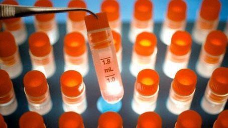 Stem Cells: Early Research