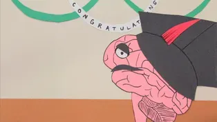 Hippocampus Humor