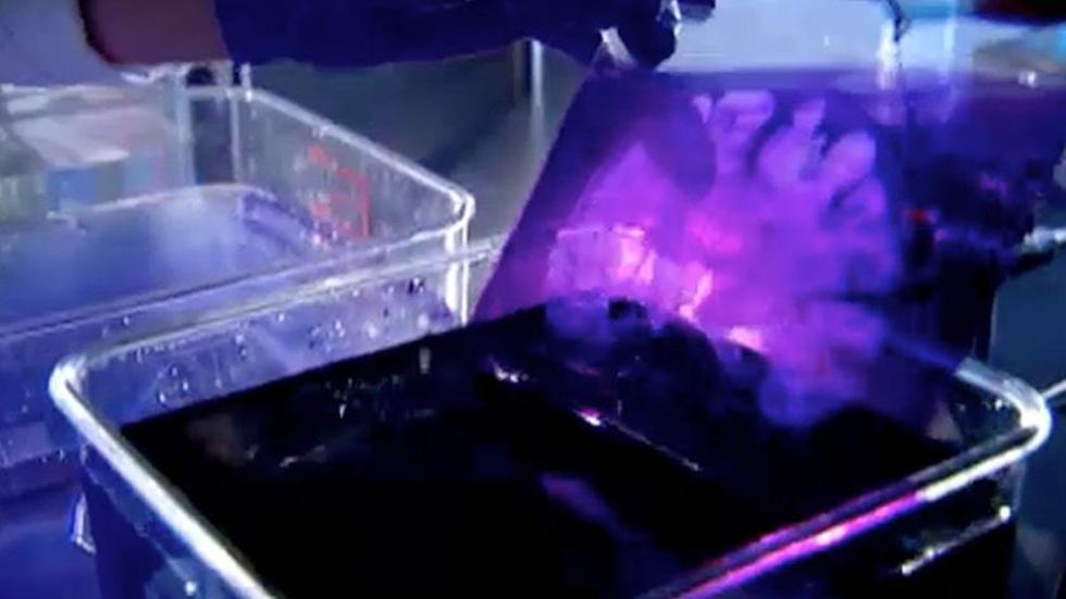 S6: Viewing H.M.'s Brain image