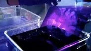 Viewing H.M.'s Brain