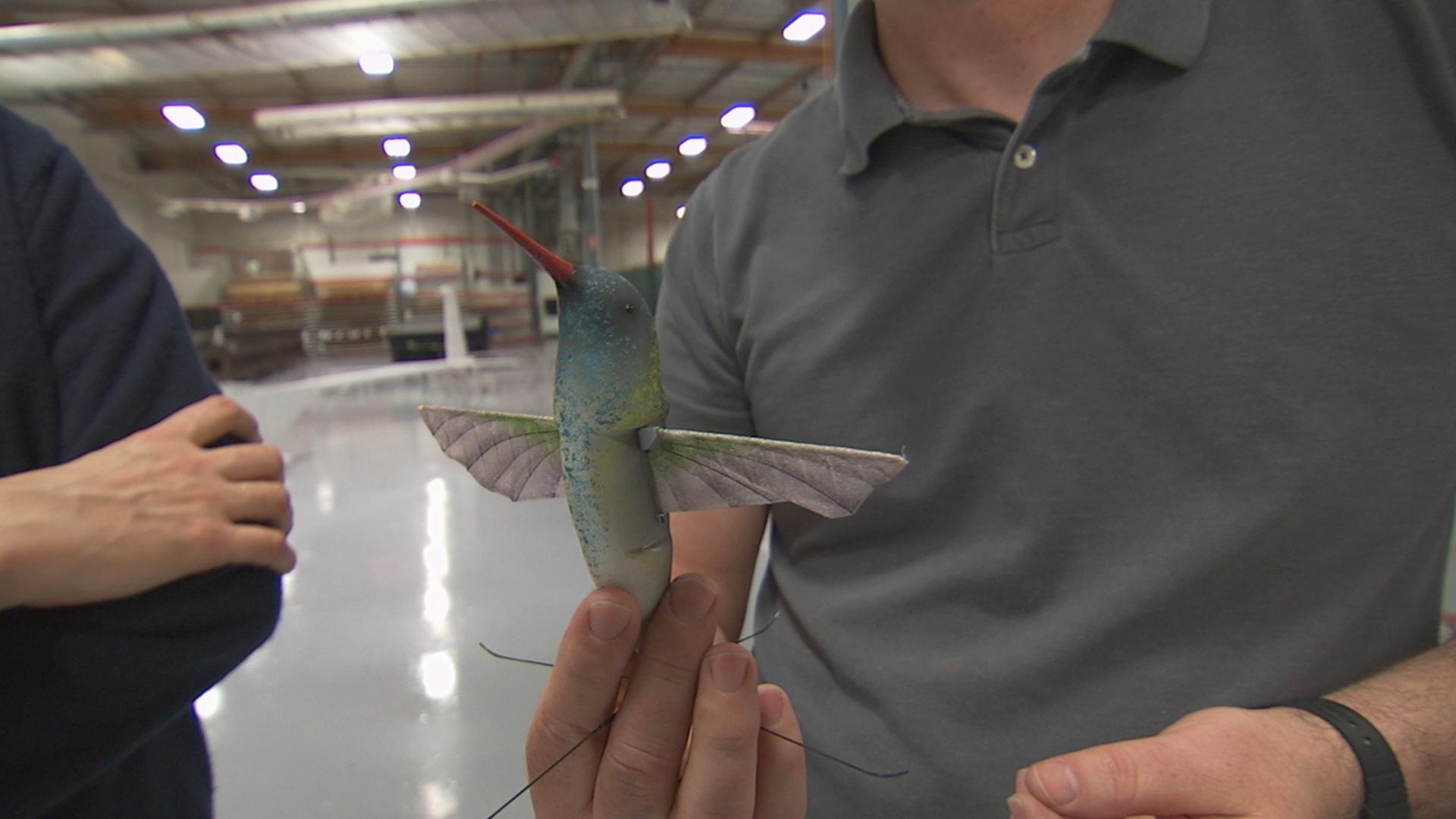 wing hummingbird drone