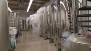 Cryonics