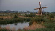 Dutch Windmills