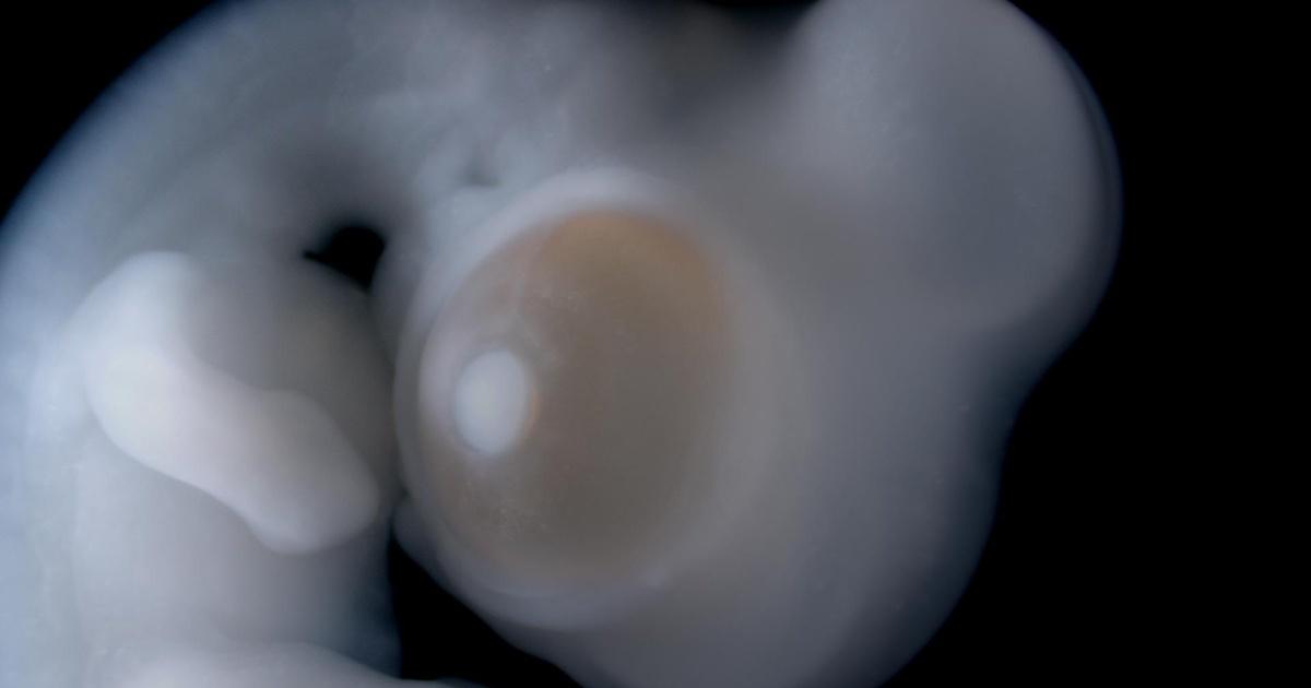 NOVA What Darwin Never Knew Season 36 Episode 17 PBS