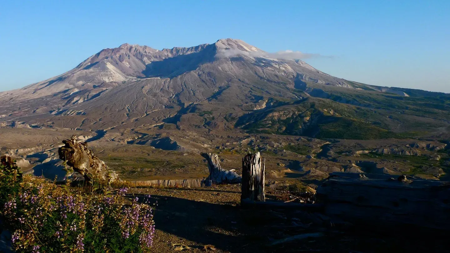 Mt. St. Helens: Back From the Dead