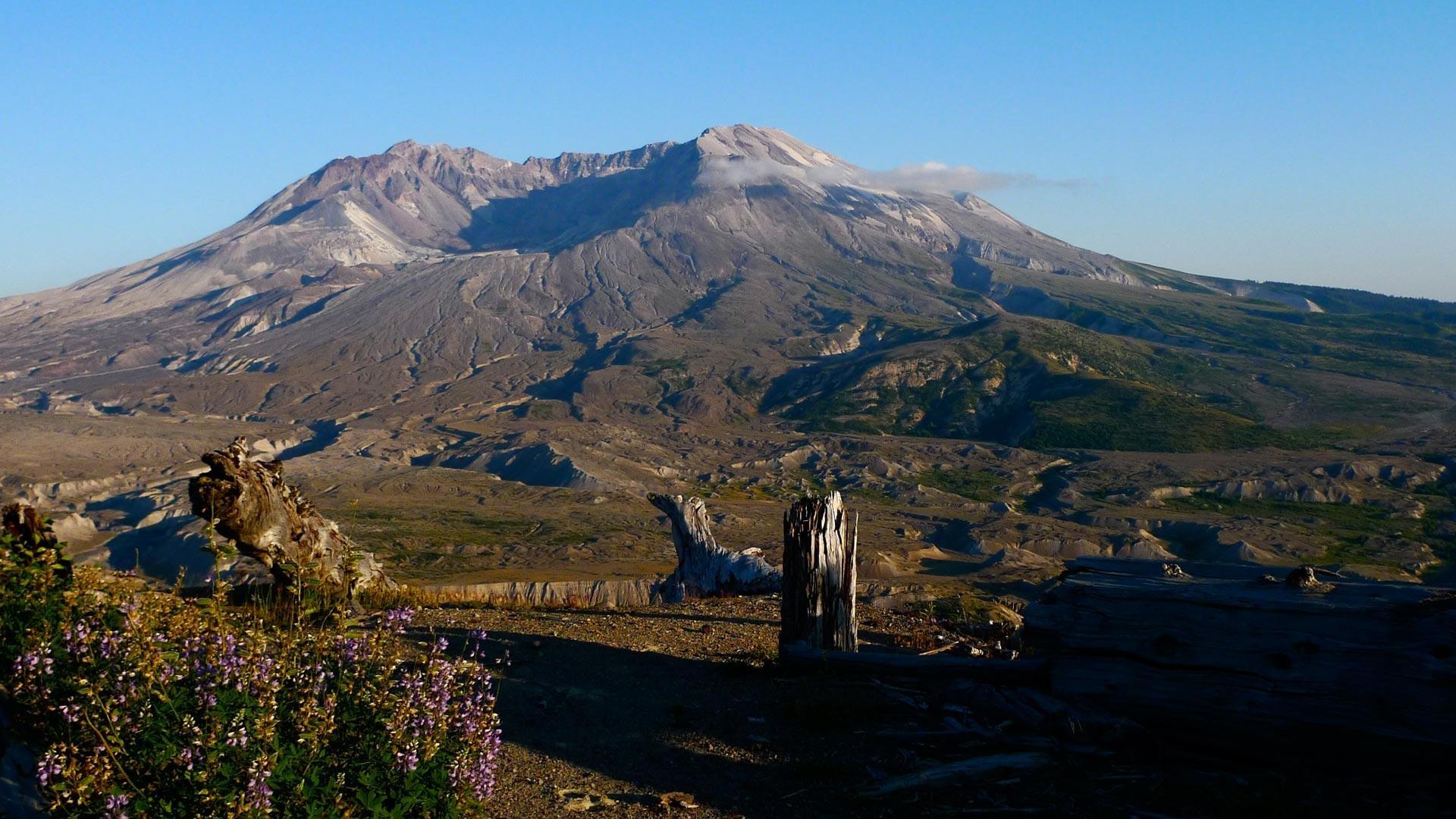 Which Type Of Volcano Is Mount Saint Helens Apex Anahi has Floyd