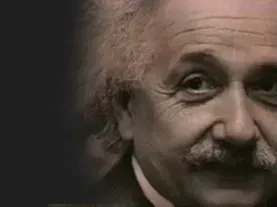 Einstein Revealed
