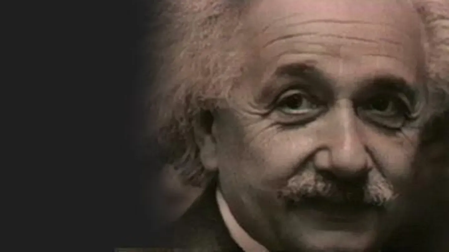 Einstein Revealed