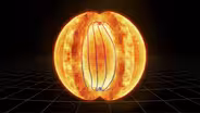 The Dynamic Sun