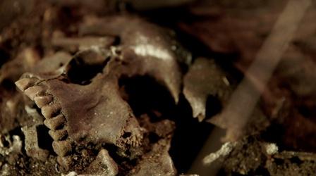 Video thumbnail: NOVA Autopsying a Roman Catacomb