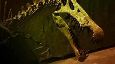 Video thumbnail: NOVA Bigger Than T. rex Preview