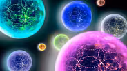 Do We Live in a Multiverse?