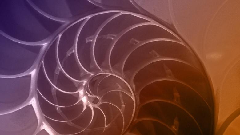 NOVA Image